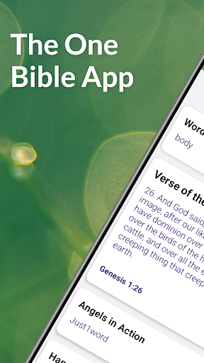 Android application The One Bible App screenshort