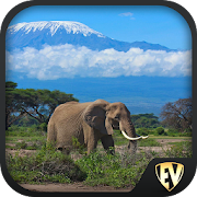 Tanzania Travel & Explore, Offline Country Guide