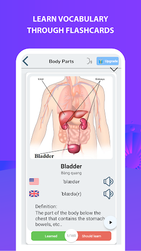 90.000 Words with Pictures PRO Screenshot 4 - AppWisp.com