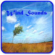 Wind Sounds  Icon