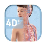 Cover Image of Descargar Humanoid 4D+  APK