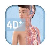 Humanoid 4D+ icon
