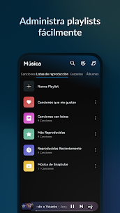 Reproductor Música:Lark Player APK/MOD 6