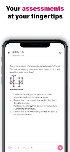 ExamView Student Screen 2