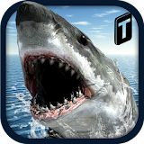 Crazy Shark 3D Sim icon