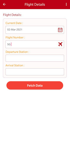 InFlightAudit Screen 2