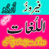 Ferouz ul Lughaat Mukamal Urdu icon