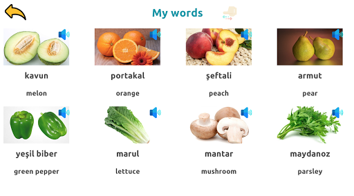 Learn Fruits Vegetables in Turkish