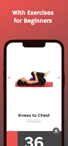 Screenshot of Stretching Exercises at Home