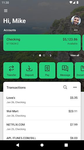 Ozark Bank Screen 2
