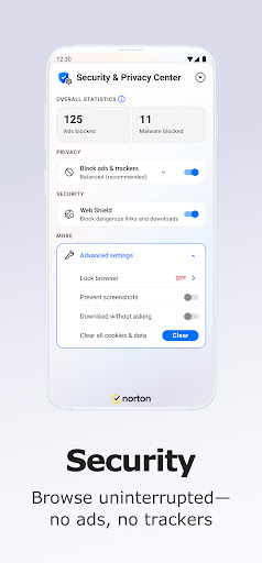 Screenshot of Norton Private Browser