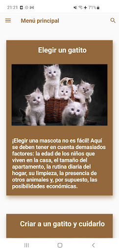 Gatos. Zoogalaxy Screen 3