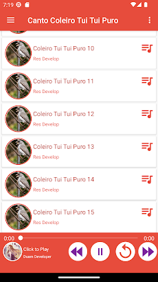 Canto Coleiro Tui Tui Puroのおすすめ画像3