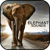 Elephant Sounds icon