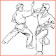 Aprenda Karate Baixe no Windows