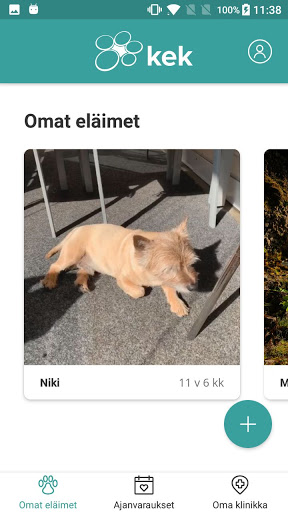kek Mobiili Screen 2