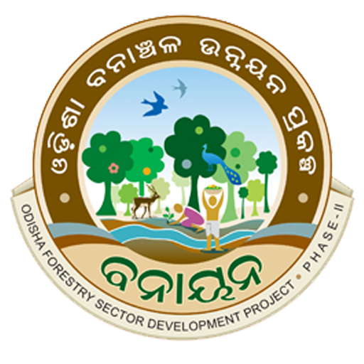 OFSDP II logo