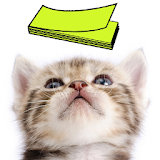 Cat Sticky Note Notepad icon