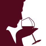 wine-gu.ru icon