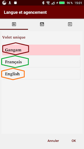 Gangam Français English Screen 3