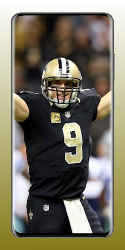 New Orleans Saints Fans