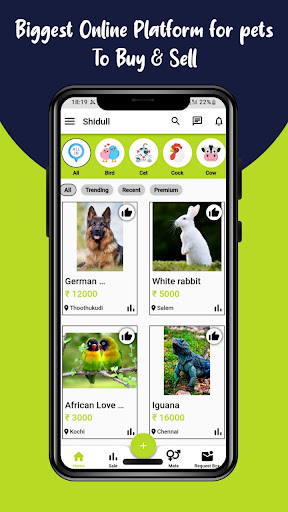 Shidull Screen 2