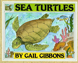 Icon image Sea Turtles