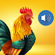 Animal sounds - Airhorn Sounds Скачать для Windows