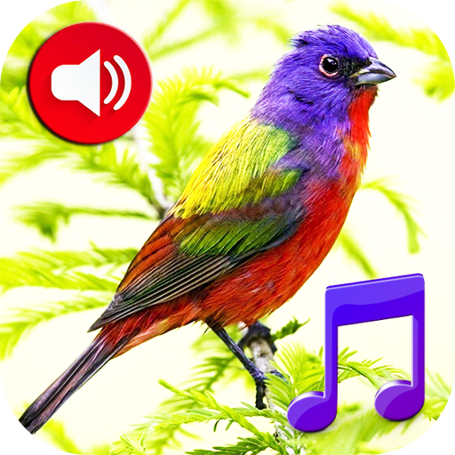 Birds Sounds Tones & Wallpaper - Εφαρμογές στο Google Play