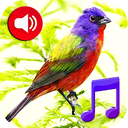 Icon image Birds Sounds Tones & Wallpaper