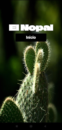 El Nopal Screen 2