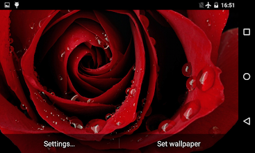 Live Wallpaper 3d Rose Flower Image Num 97