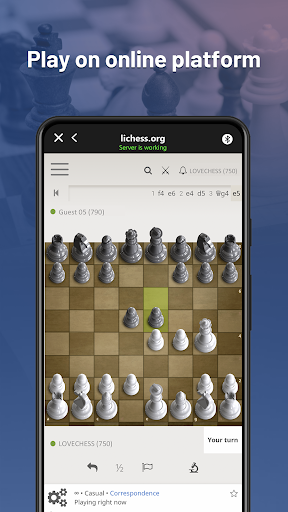 Chessnut Screen 2