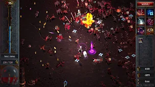 Halls of Torment: Premium - Screenshot 1