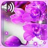 Orchid Free 2021 icon
