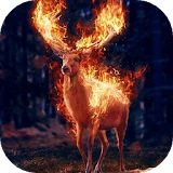 Flaming deer live wallpaper icon