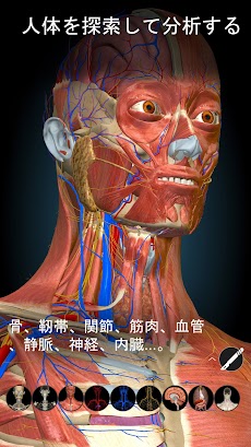 Anatomy Learning - 3D解剖学のおすすめ画像1