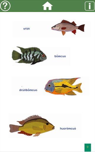 Diccionario animales broran Screen 3