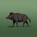 Wild Hog Sounds