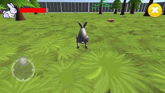 Rabbit simulator