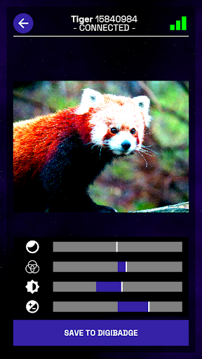 whiskerwire companion