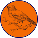 Svenska Birds icon