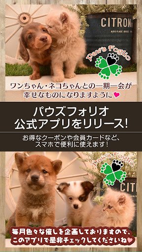 Android application ペットサロン・パウズフォリオ screenshort