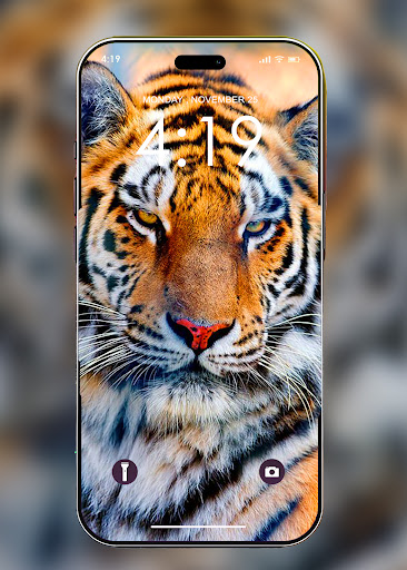Android application Tiger Wallpaper 4K screenshort