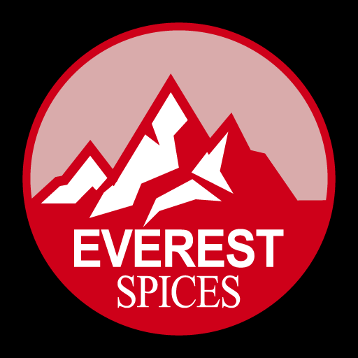 Everest Spice S21 logo