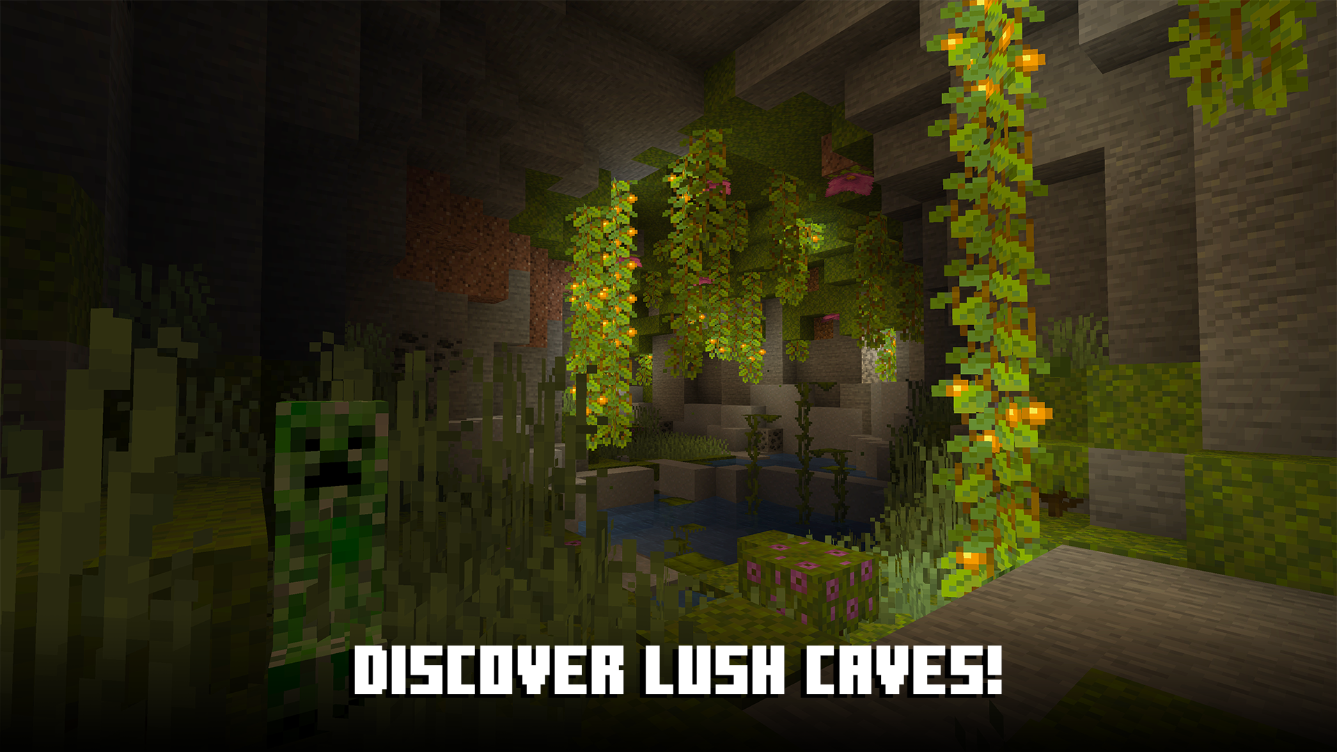 Minecraft V1.19.31 Free Download
