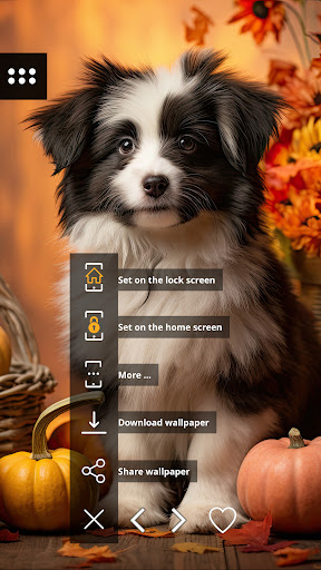 Autumn wallpapers Screen 2