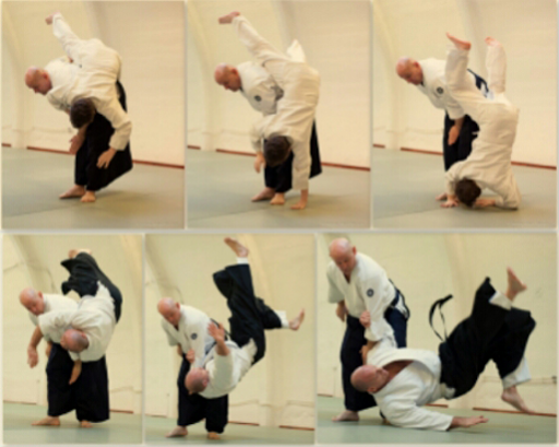 Learn aikido from home for free