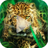 Leopard Animated Wallpaper icon