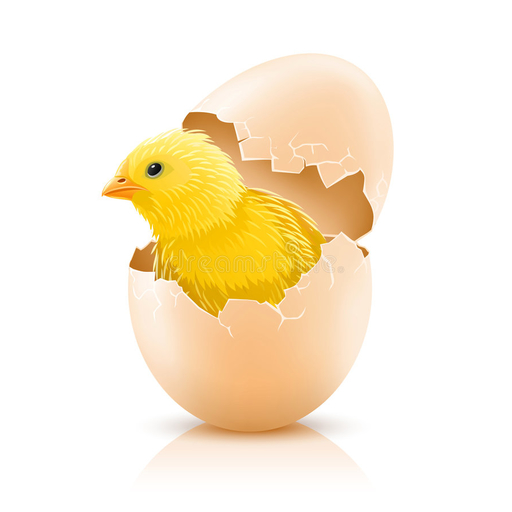 Smart Egg Incubator ( Nepal )  Icon